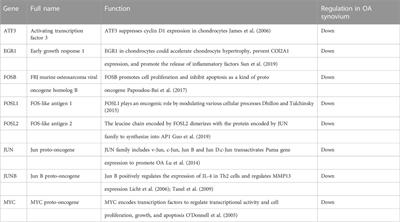 Identification and validation of hub genes and potential drugs involved in osteoarthritis through bioinformatics analysis